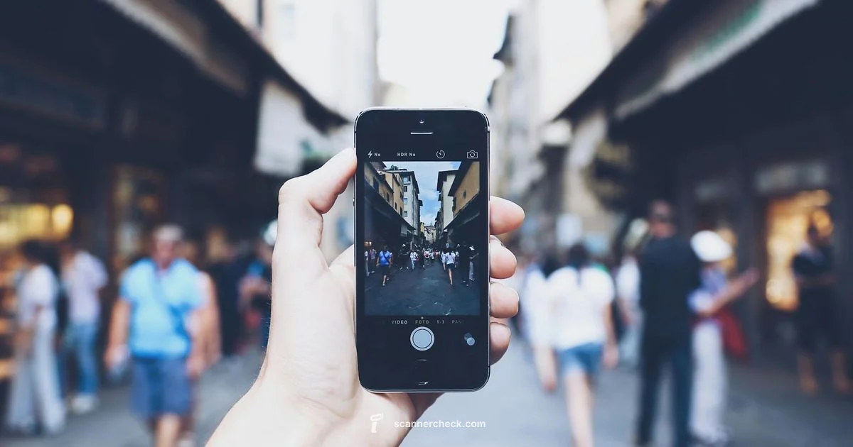 Local Frequencies - Scanner Check