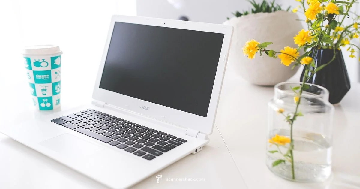 Chromebook Scanner Guide - Scanner Check