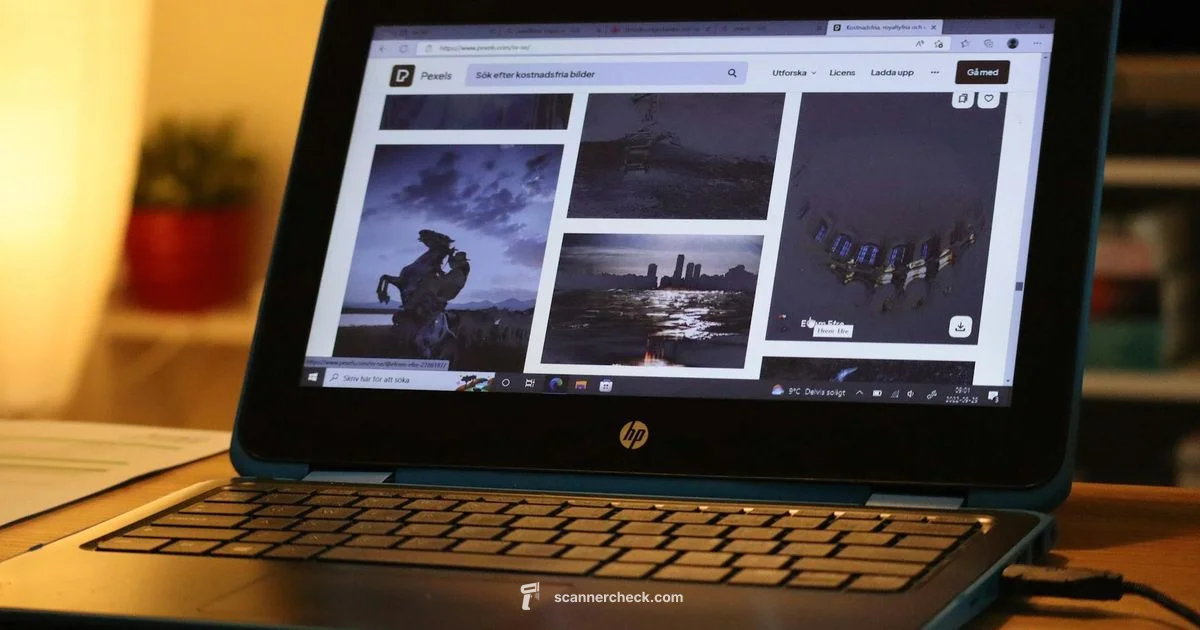 Clean HP Scanner Rollers - Scanner Check