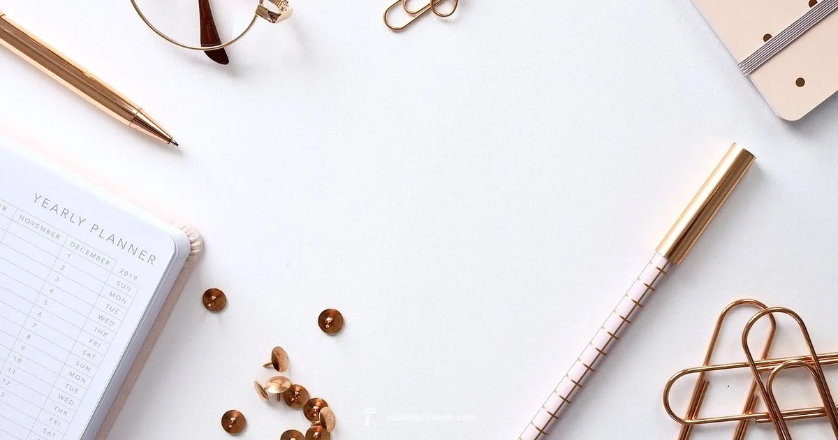 Scanner & PDF Maker - Scanner Check