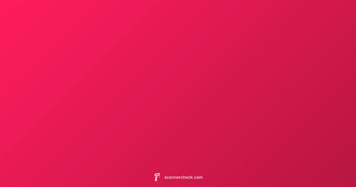 Topdon Scanner Guide - Scanner Check (illustration)