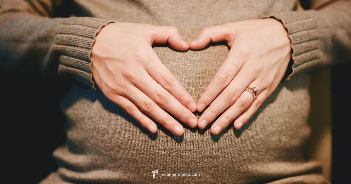 Pregnancy Ultrasound Overview Pregnancy Ultrasound Overview - Scanner Check