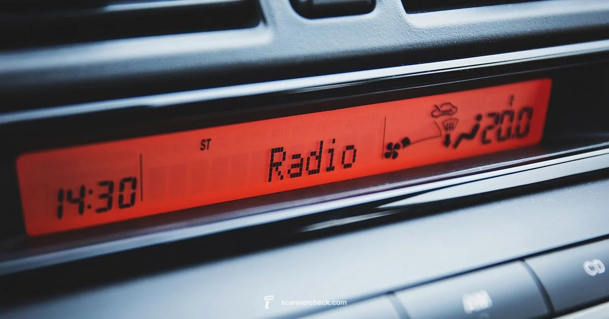 OBD2 Scanner Setup - Scanner Check