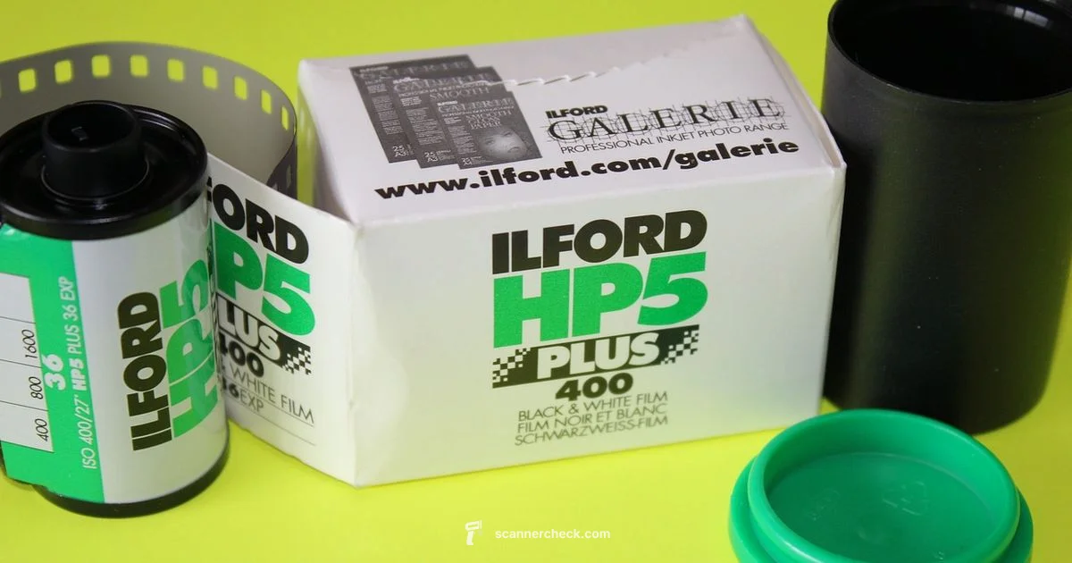 Negatives Made Digital Negatives Made Digital - Scanner Check