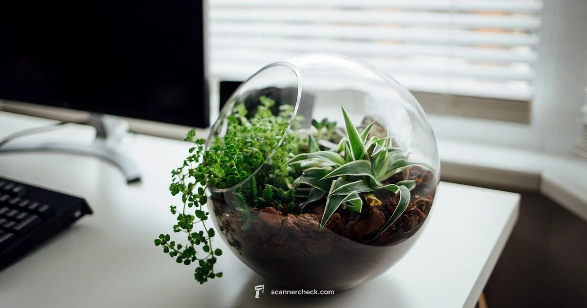 Best Company Scanners 2026 - Scanner Check