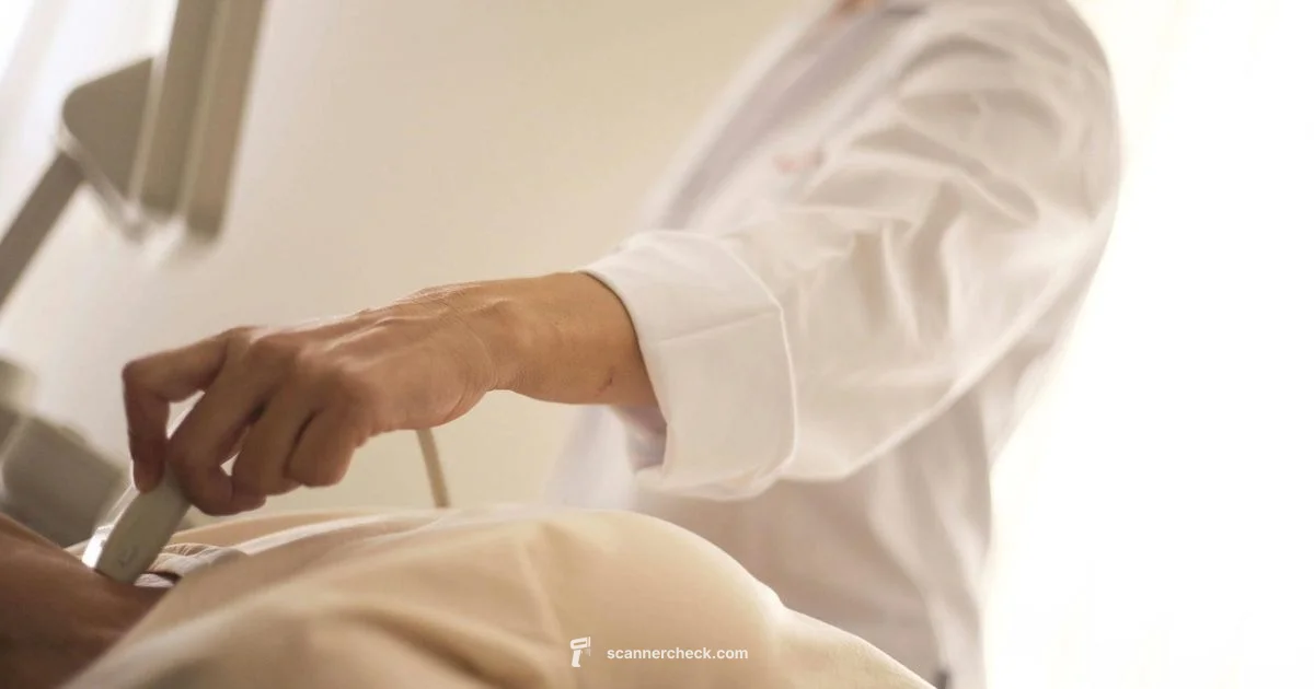 Kidney Imaging Guide - Scanner Check