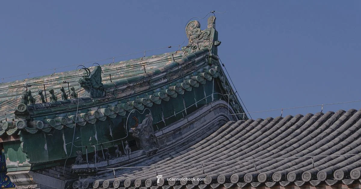 Leica Scanner Basics - Scanner Check