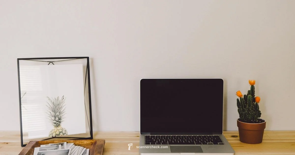 Local Scanner Care - Scanner Check