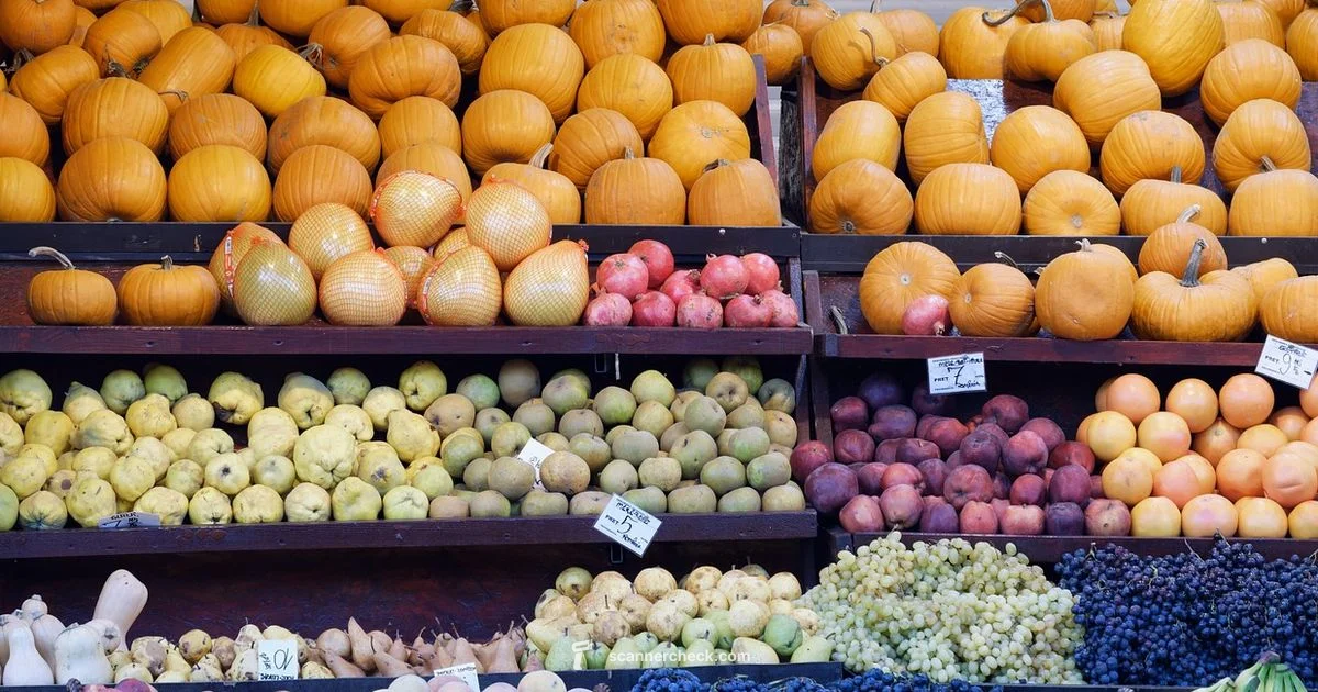 Free Food Scan Free Food Scan - Scanner Check