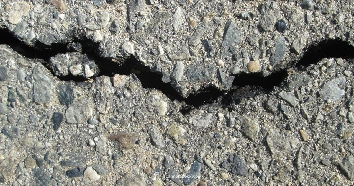 Fix Scanner Lines Fix Scanner Lines - Scanner Check