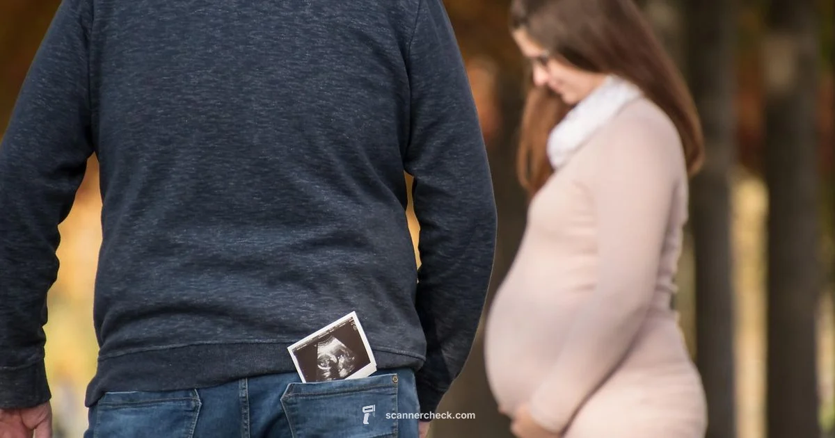 Pregnancy Ultrasound Milestones - Scanner Check