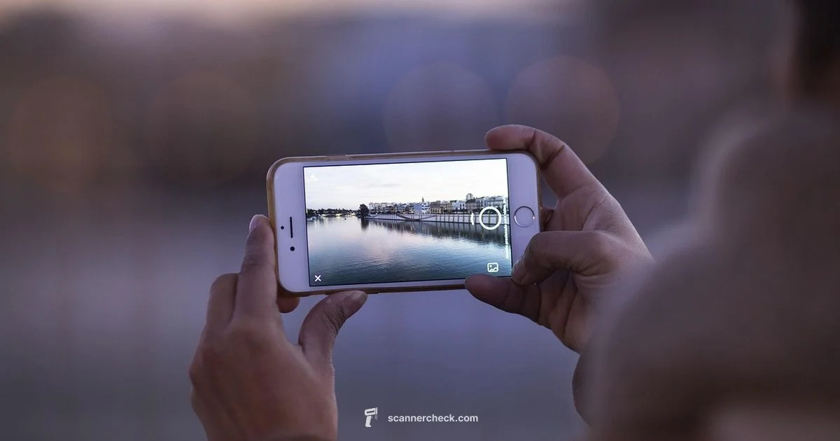 Phone Scanning - Scanner Check