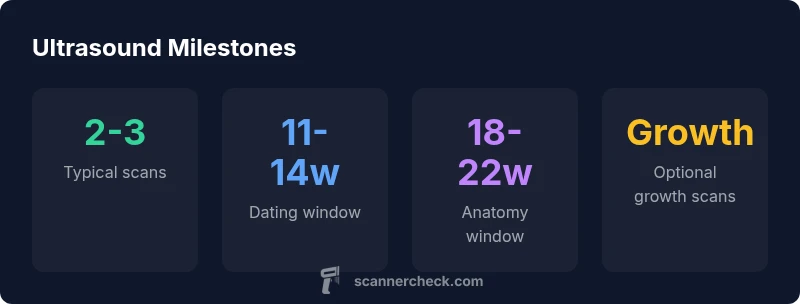 Stats infographic showing typical pregnancy ultrasound timeline