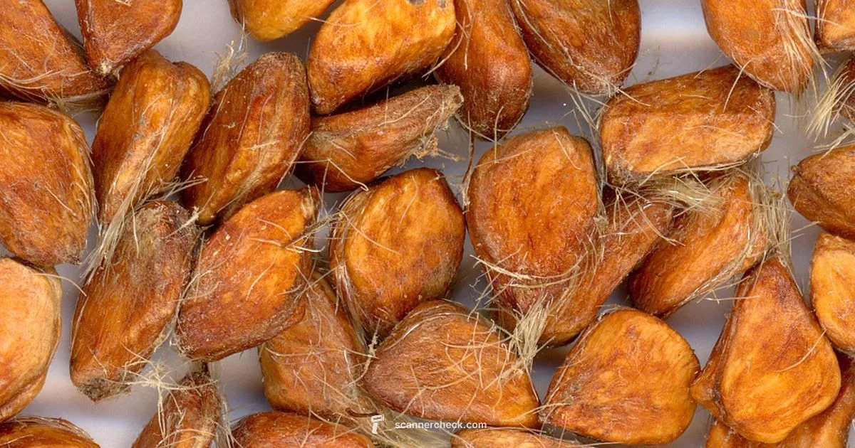 Scanner Room Guide Scanner Room Guide - Scanner Check