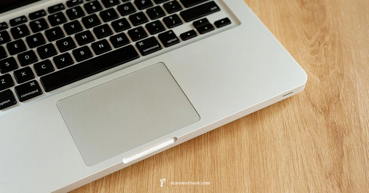 Digital Imaging Essentials - Scanner Check