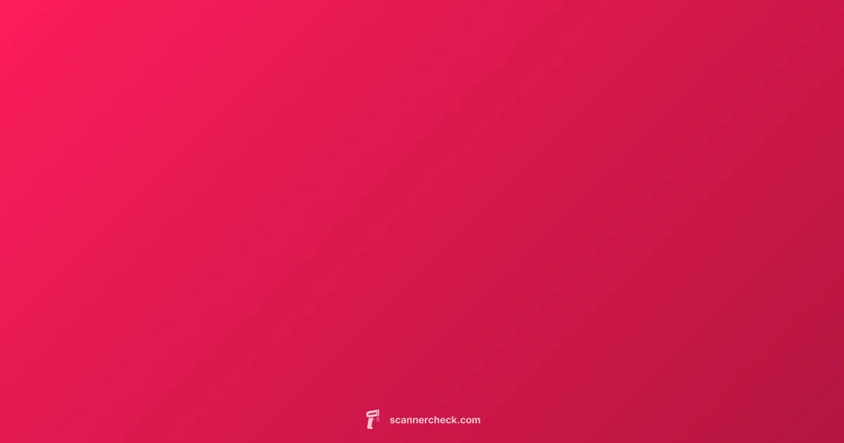 Scanner Integer Check - Scanner Check (illustration)