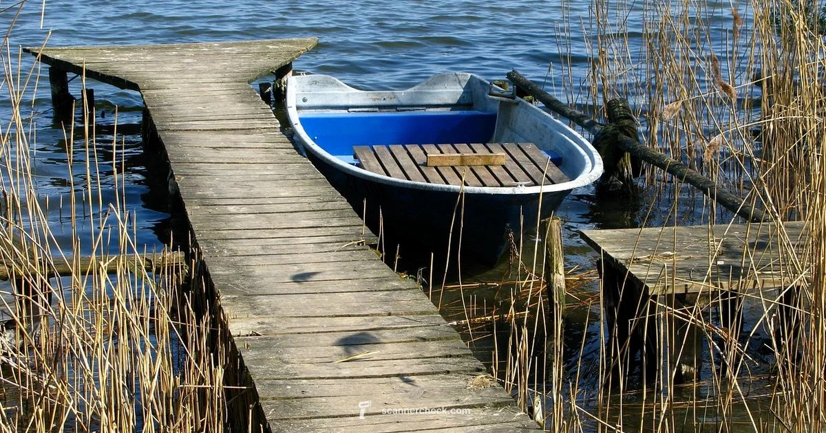 Lake Scanner Guide - Scanner Check