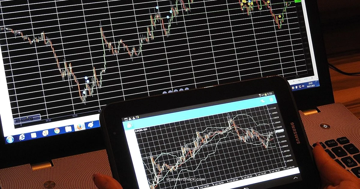 Live Scan Updates - Scanner Check