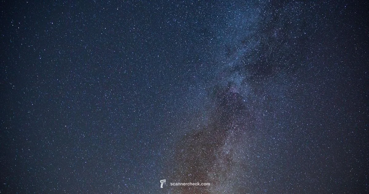 Using Scanner Starfield - Scanner Check