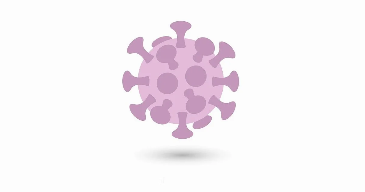 Virus Scanner Basics - Scanner Check