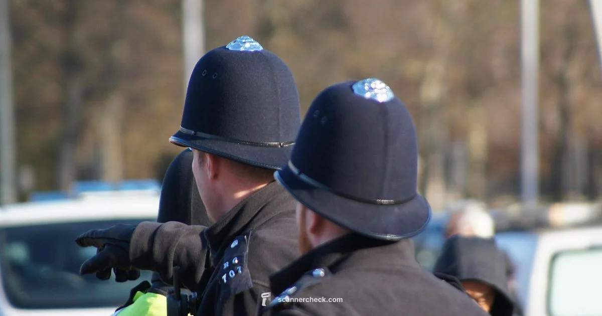 Zip Code Frequencies Zip Code Frequencies - Scanner Check