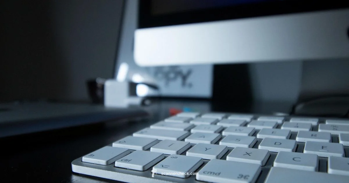 AO Scanner Guide - Scanner Check